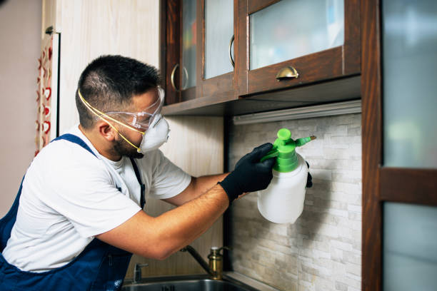 Best Flea Control Services  in Bristol, CT