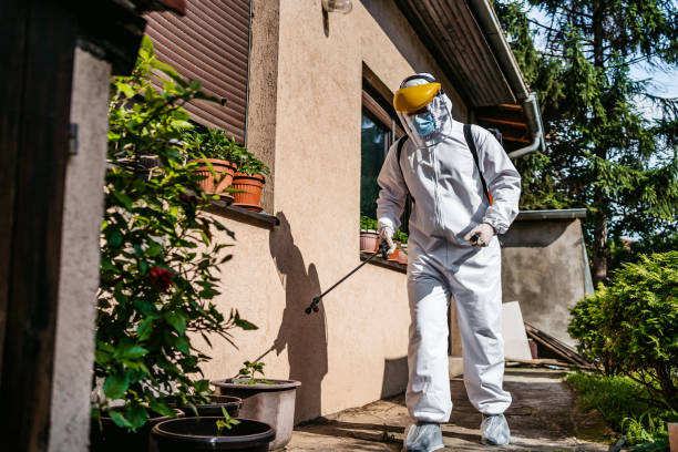 Best Pest Inspection Near Me  in Bristol, CT