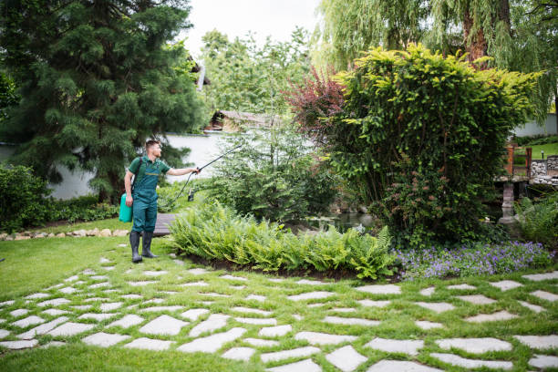 Best Affordable Pest Control Services  in Bristol, CT