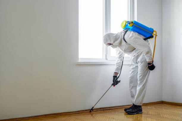 Best Flea Control Services  in Bristol, CT
