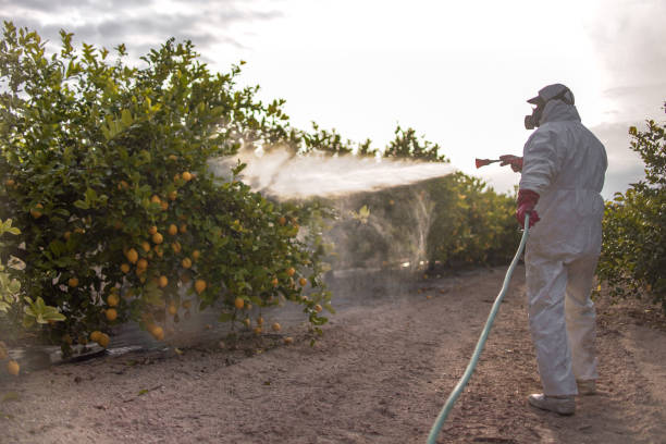 Trusted Bristol, CT Pest Control Experts