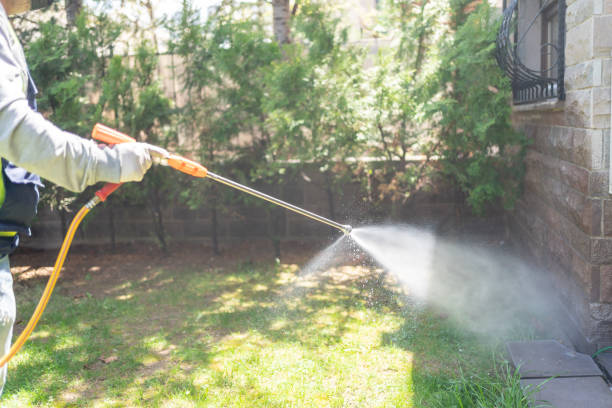 Flea Control Services in Bristol, CT
