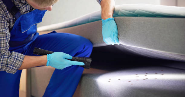 Best Pest Control Near Me  in Bristol, CT