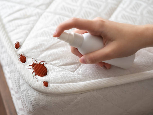 Best Local Pest Control Services  in Bristol, CT