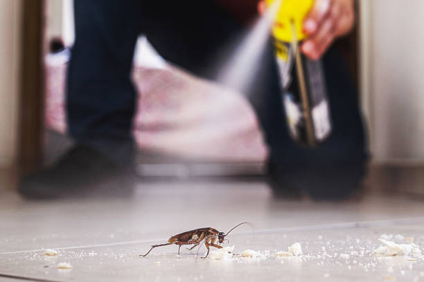  Bristol, CT Pest Control Pros